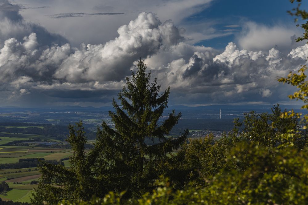 Photograph by Ed Simon