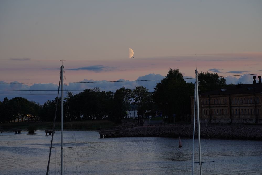 Фотография автора Юлия Овчинникова