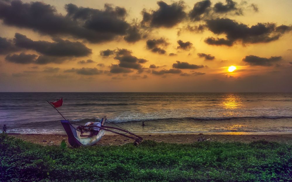 Photograph by Chamara Sulakkhana Polwatta Siriyalage