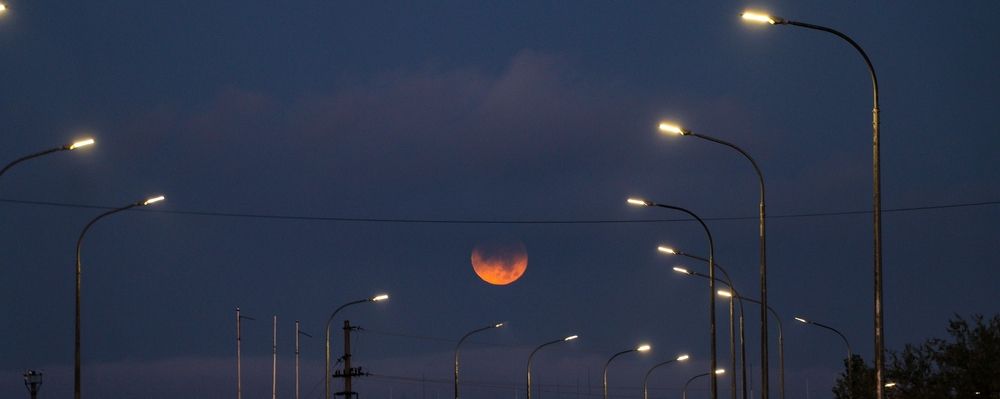 Photograph by Полинка Крылова