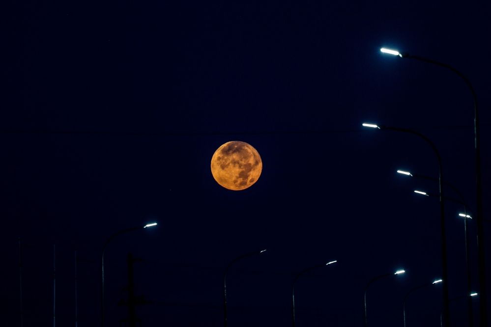 Photograph by Полинка Крылова