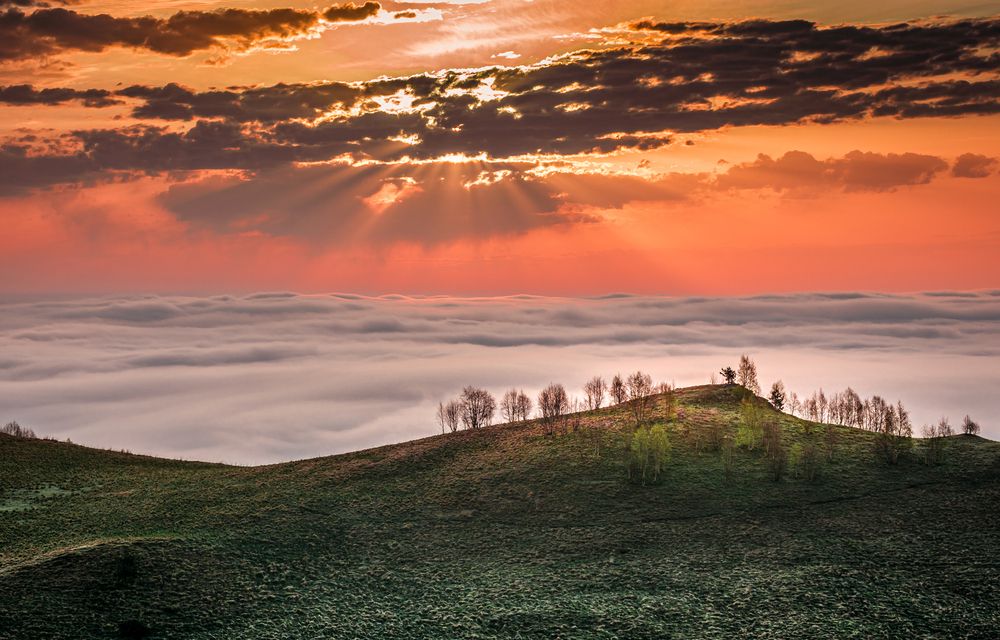 Photograph by Григорова Мария