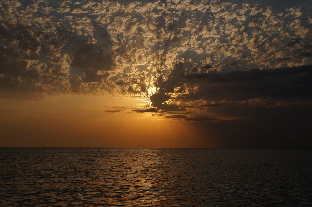 Фотография автора Максим Светличный