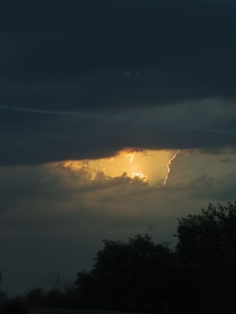Photo #12547366