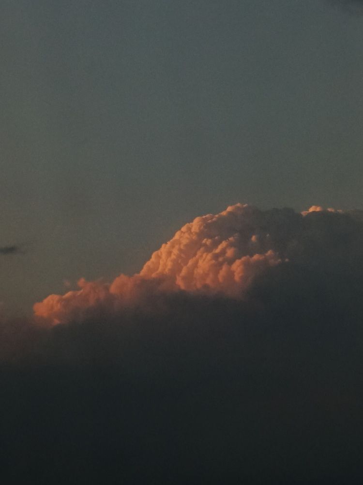 Photo #12547372