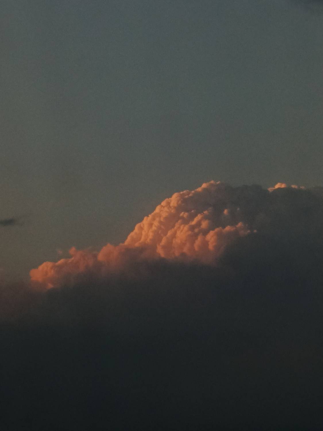 Photo #12547372