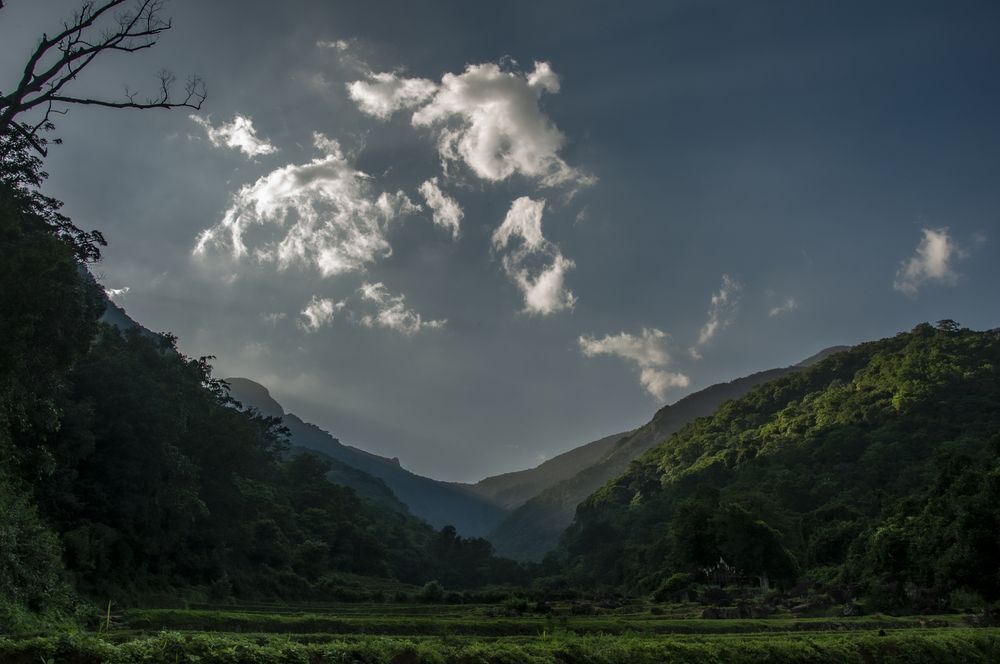 Photograph by Chamara Sulakkhana Polwatta Siriyalage