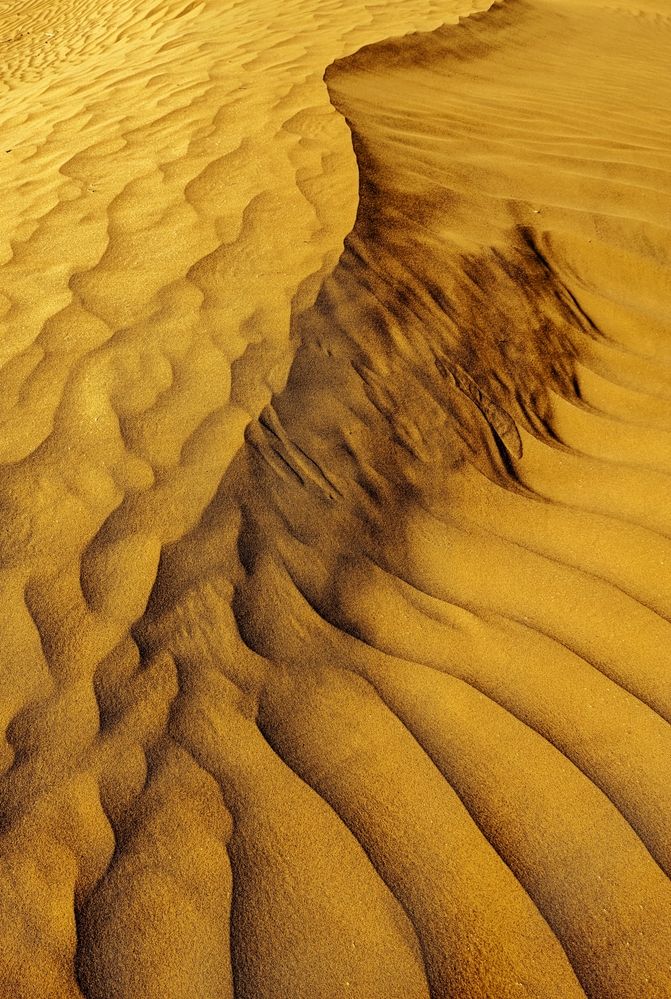 Photograph by Алёна Пшеленская