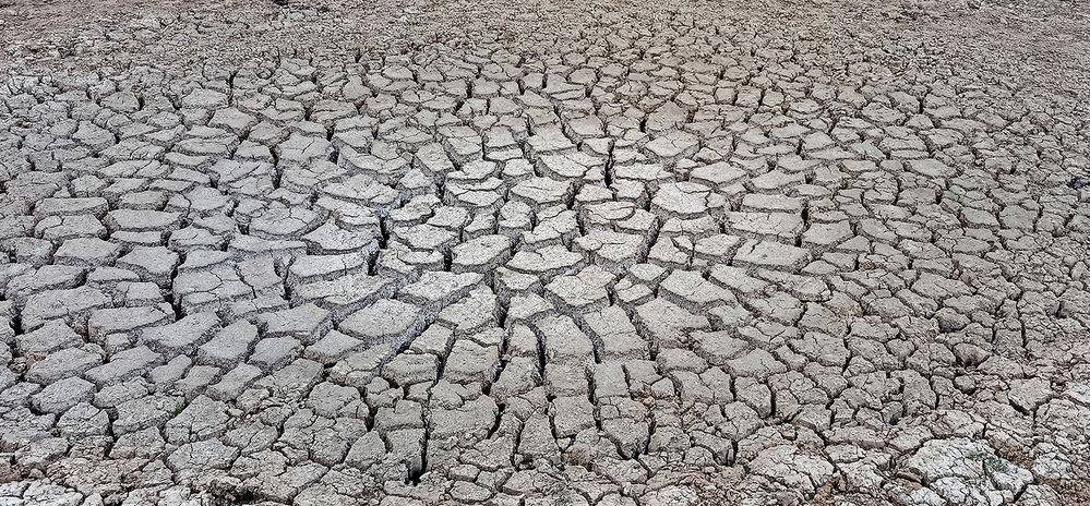 Photograph by hasan sorena jouri