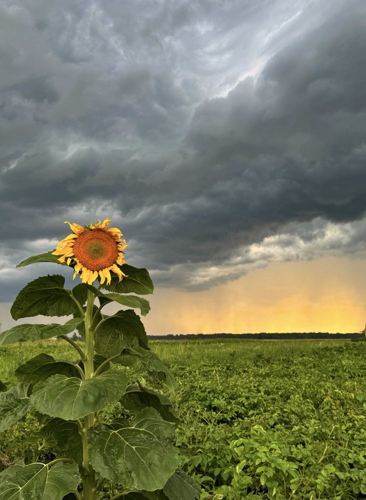 Photograph by Анна Березина