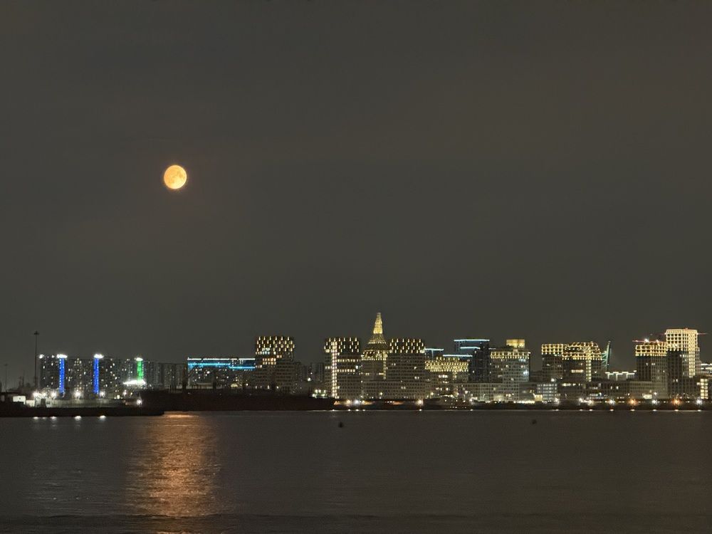 Photograph by Бондаренко Светлана