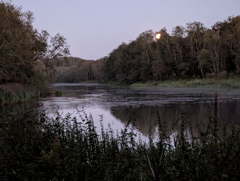 Photograph by Ольга Сафронова