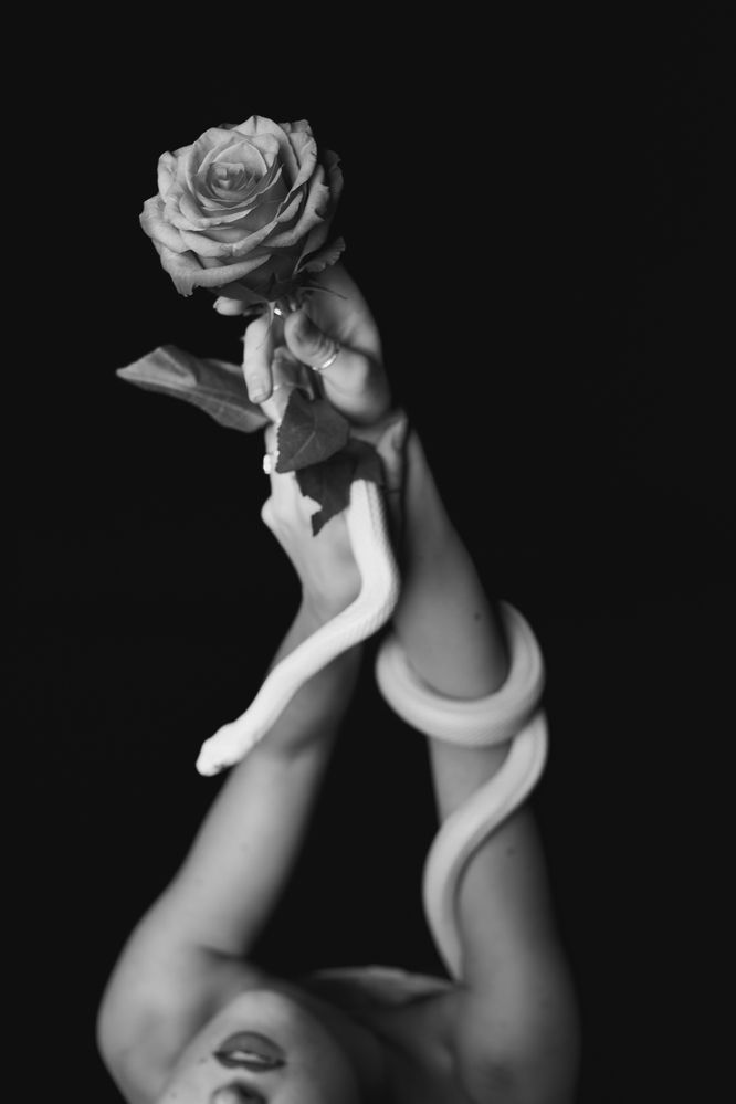 Photograph by Evelina Kravcsenko