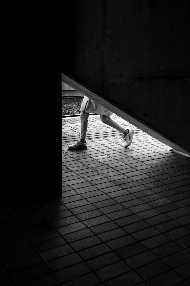 Фотография автора Nikolay Surovtsev