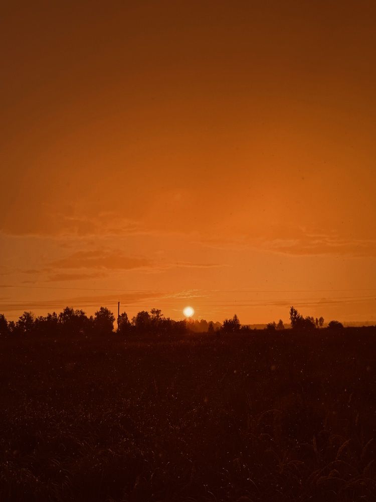 Photograph by Анна Березина