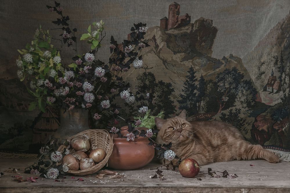Фотография автора Анна Петина