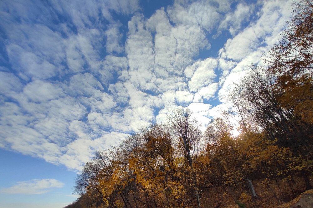На берегу Волги осень