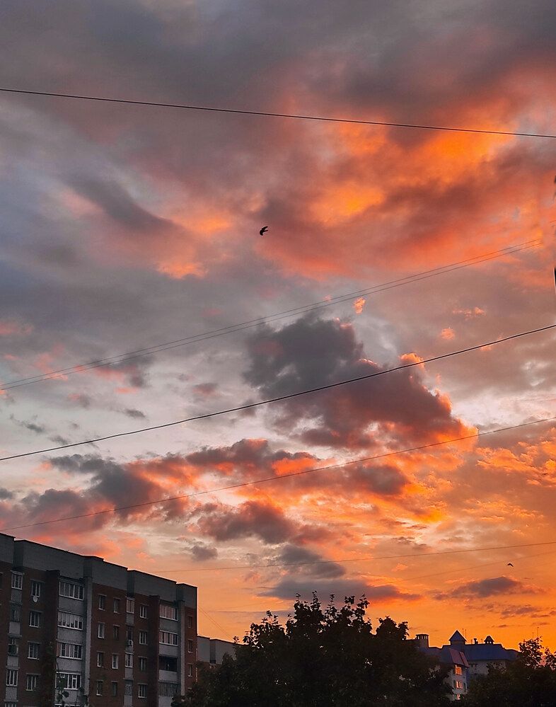 Photograph by Наталия Васильева