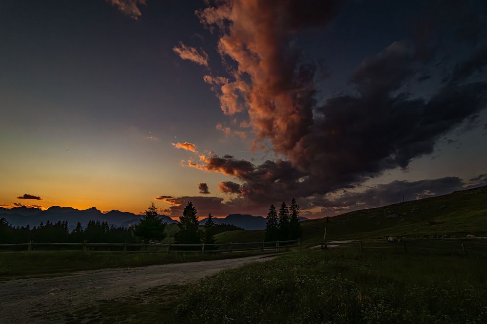 Photograph by Gregor Kobilica