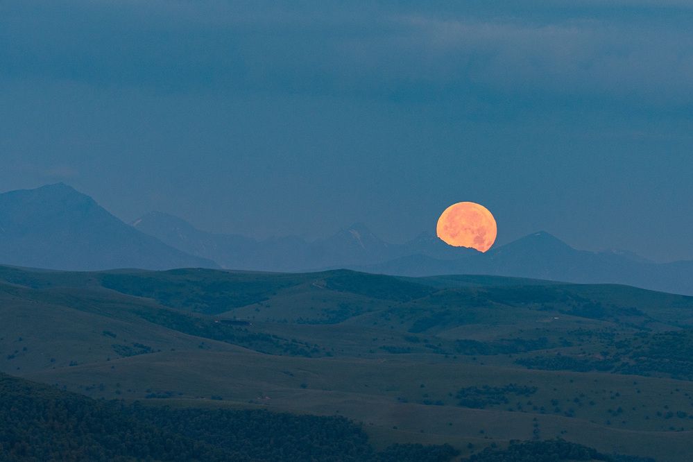 Photograph by Светлана Зимина