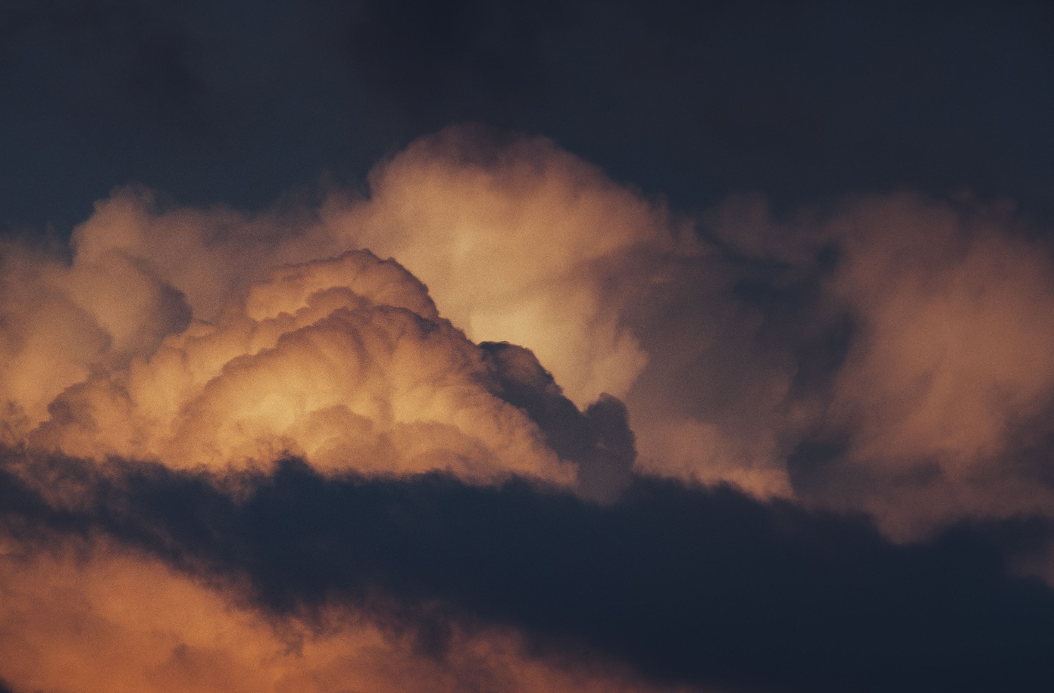 Photograph by Ольга Глущенко