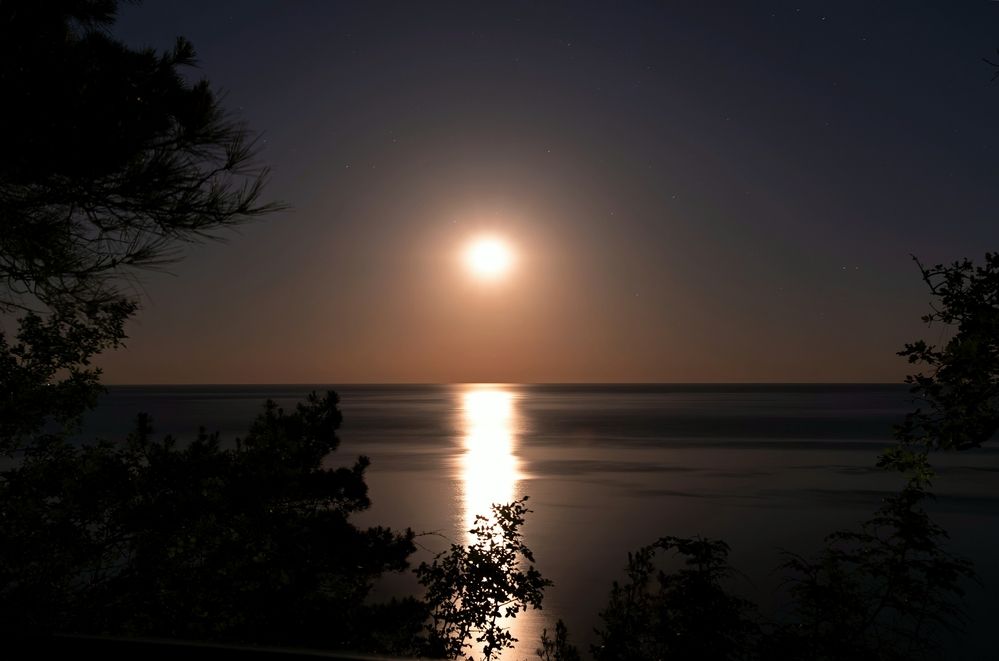 Photograph by Михаил Косолапов