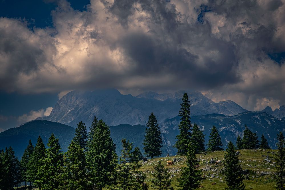 Photograph by Gregor Kobilica