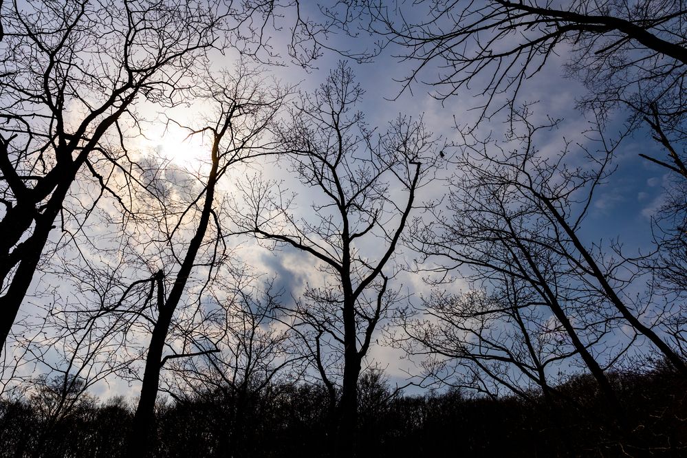 Photograph by Cилуянова Инна