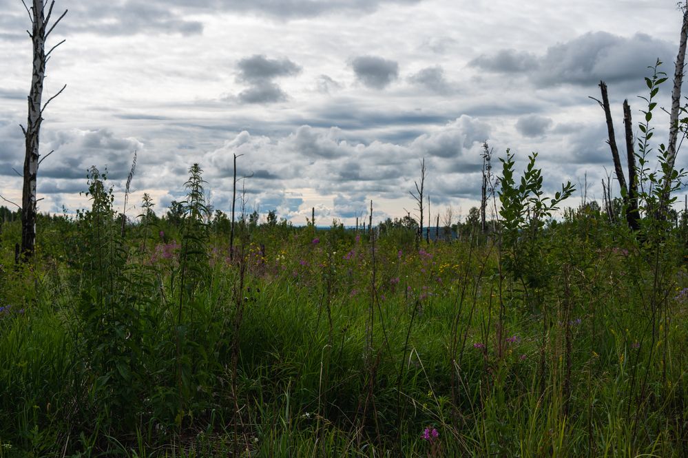 Photograph by Андрей Бородкин