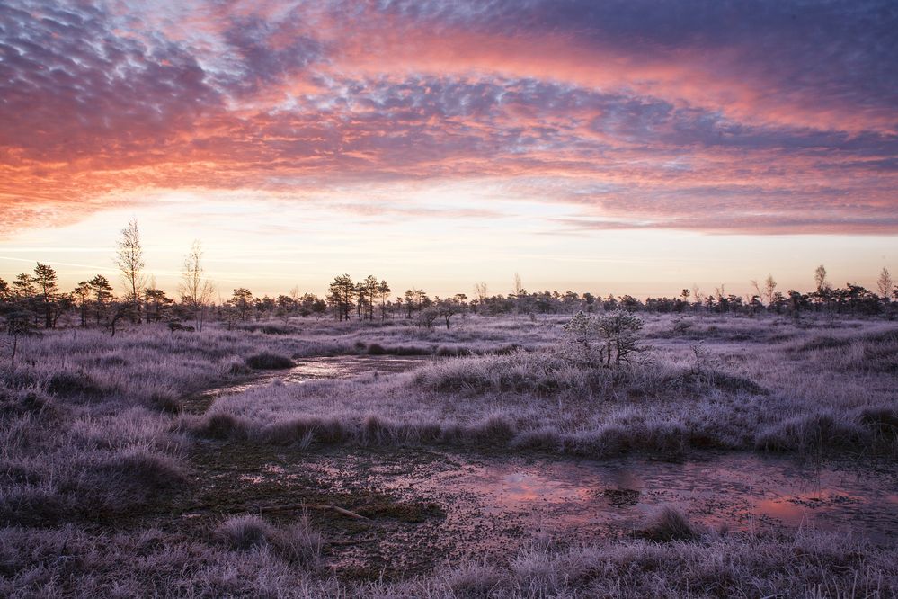 Photograph by Aleksandr