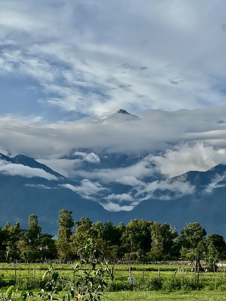 Photograph by Sharma Dr Megha