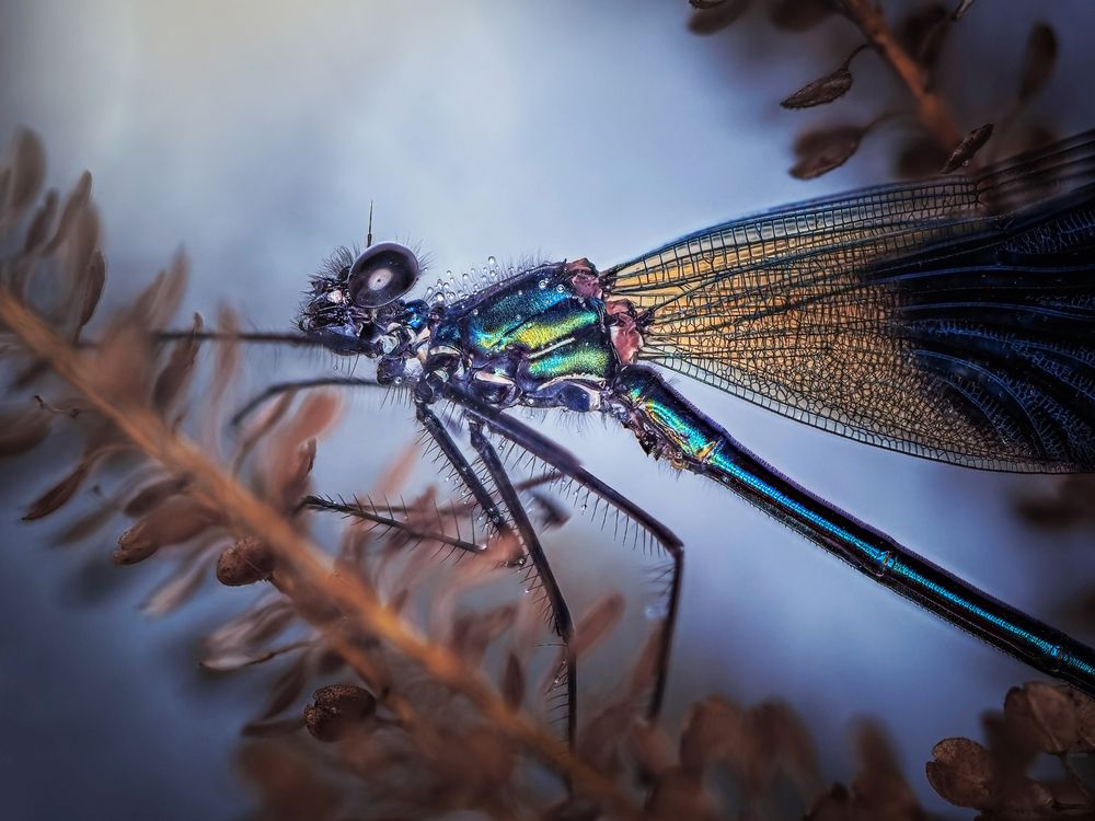 Photograph by Lapshina Vladlena