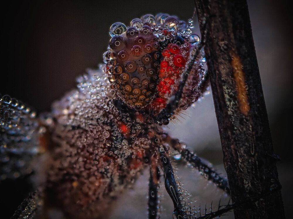 Photograph by Лапшина Владлена