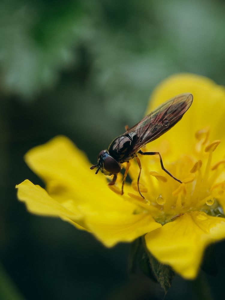 Photograph by Алиса Нежинская