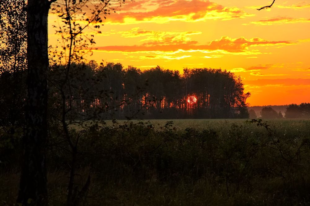 Photograph by Олег Раков