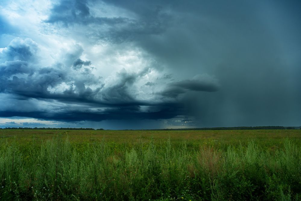 Фотография автора Виталий Сурков