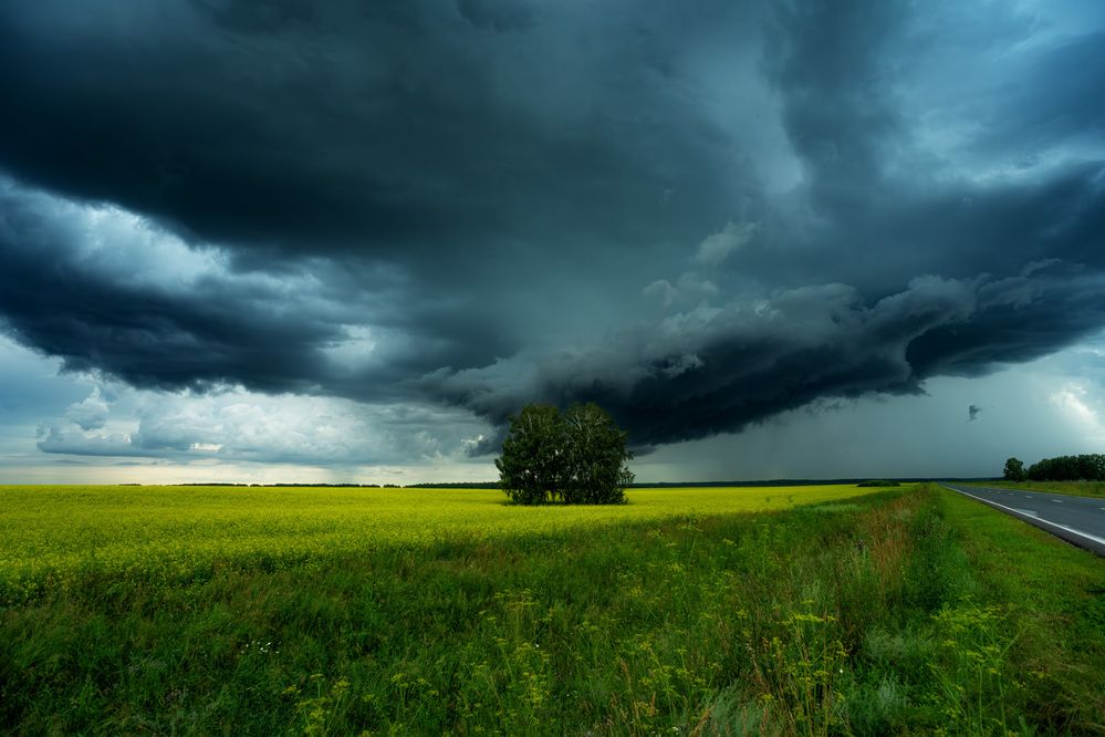 Фотография автора Виталий Сурков