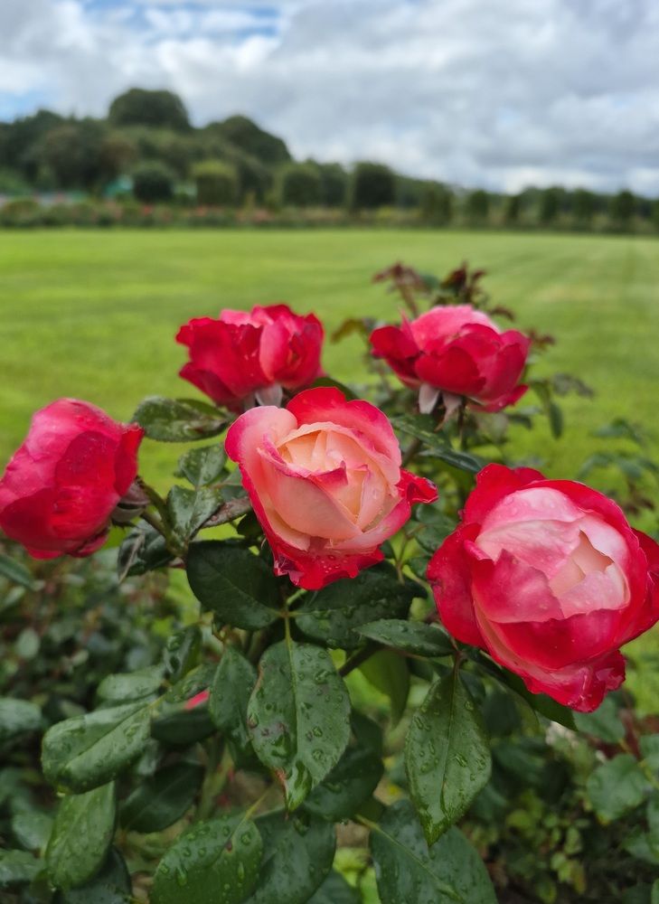 Photograph by Валентина Кузьменко