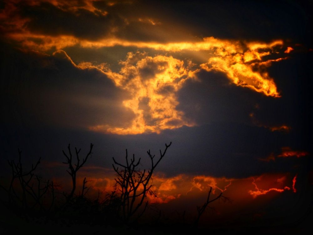 Фотография автора Марина