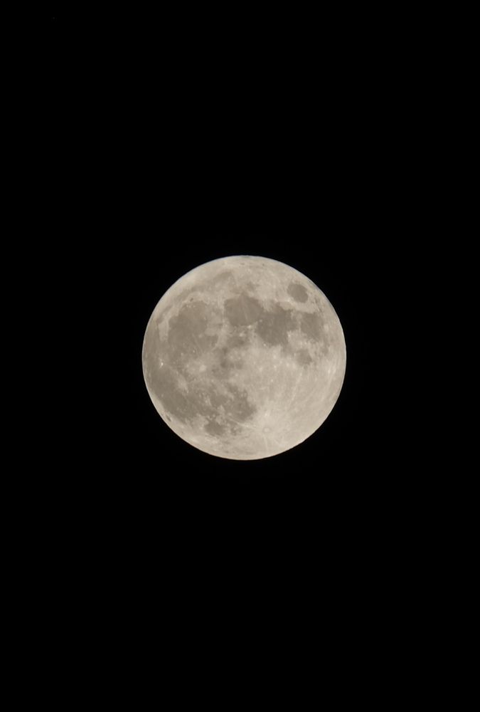 Moon Moon