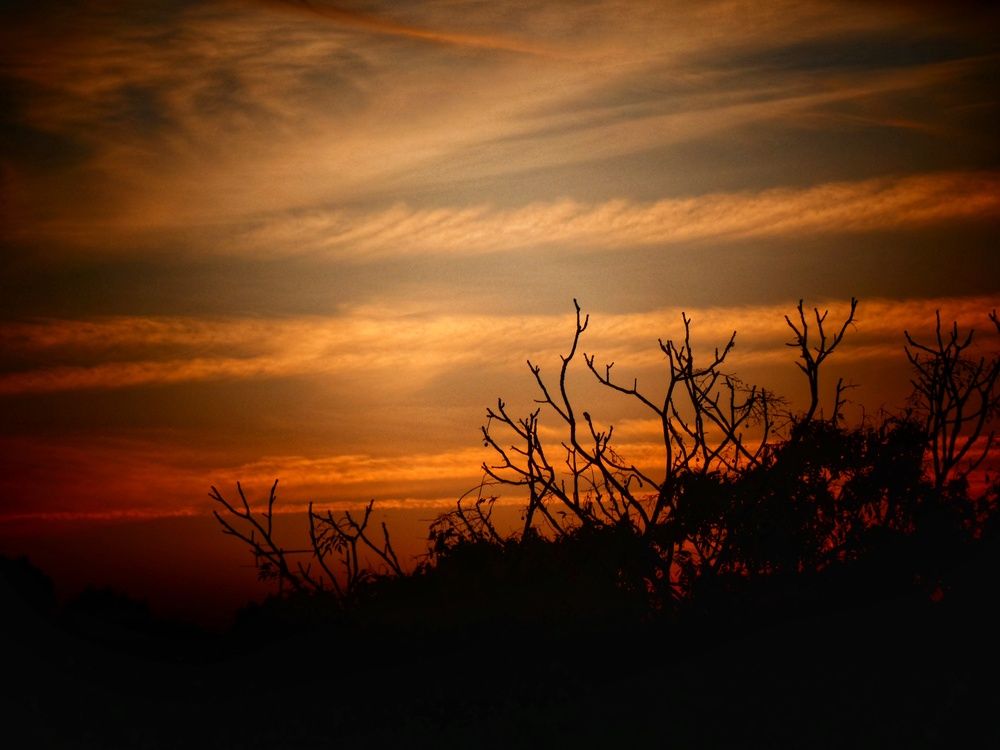 Фотография автора Марина