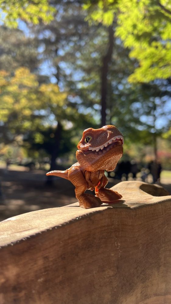 Фотография автора Lawrens Tan