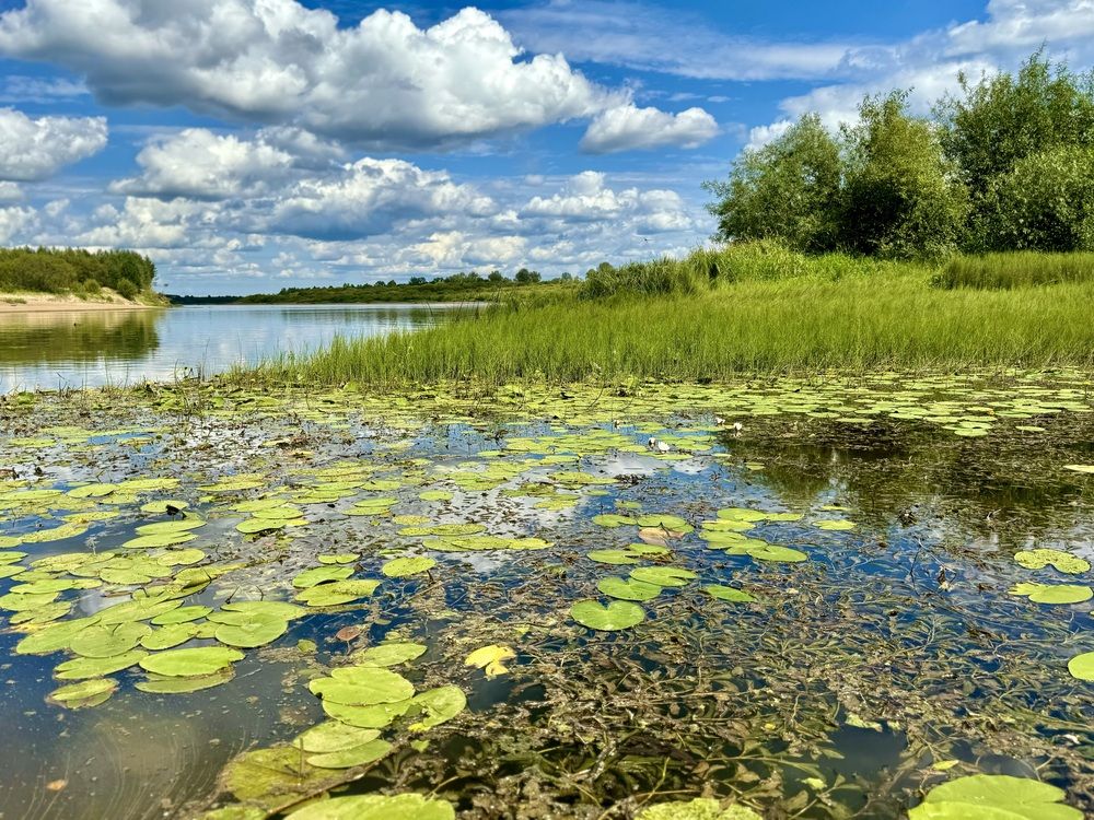 Photograph by Оксана Малышева