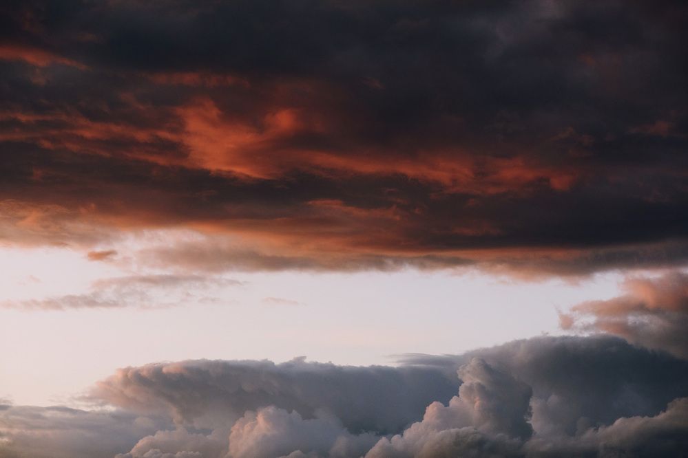 Photograph by Мороз Олег