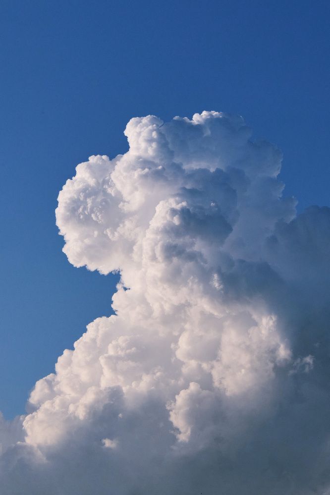 Photograph by Мороз Олег