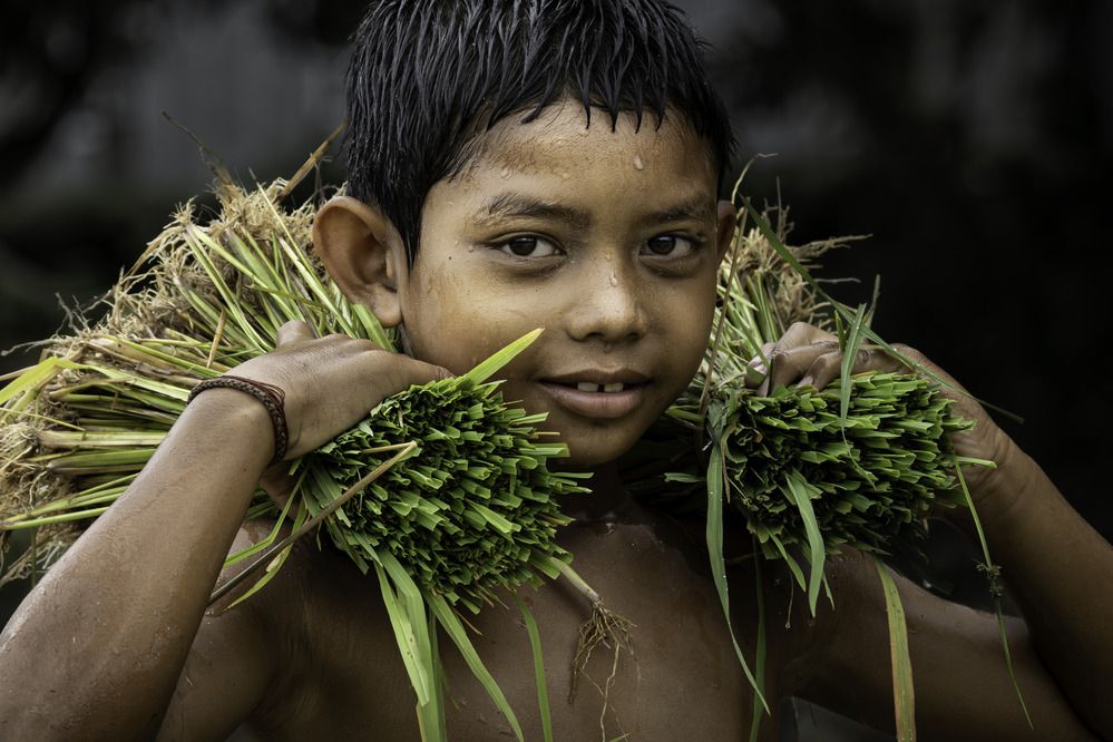 Photograph by TUONG NGUYEN