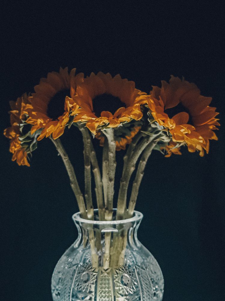 Photograph by Nataliya Mincho