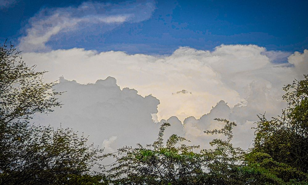 Photograph by ghufran Alim