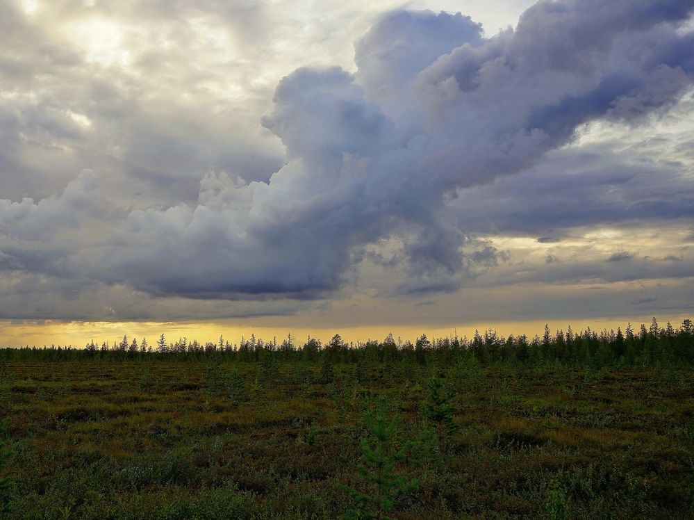 Photograph by Alexandr Klyuev