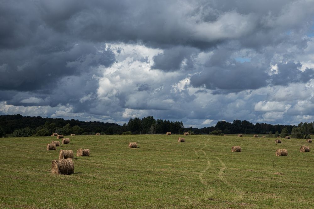 Перед грозой